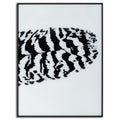 Monochrome Elegance: Striped Feather Triptych in Black Glass Frames-Kulani Home
